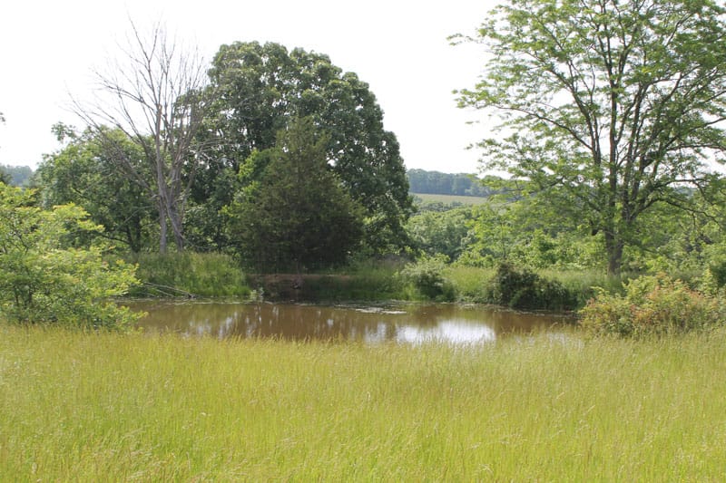Cedar Ridge Ranch Tract 7 photo 3