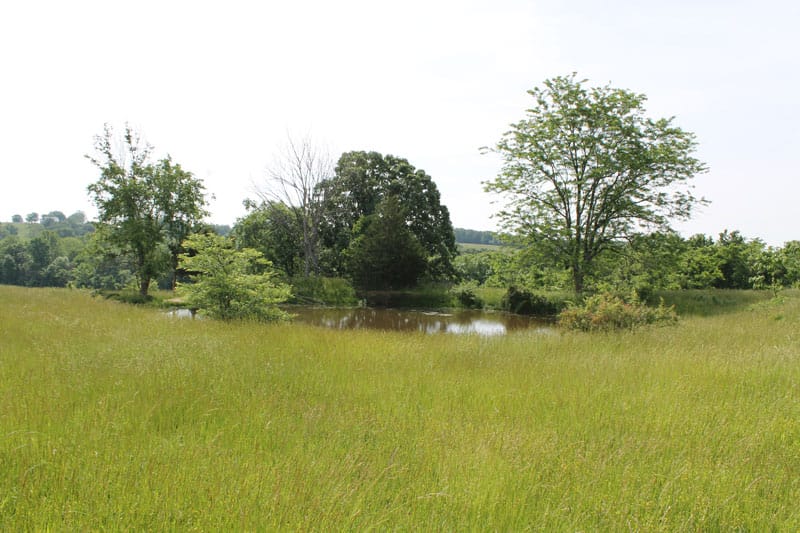 Cedar Ridge Ranch Tract 7 photo 4