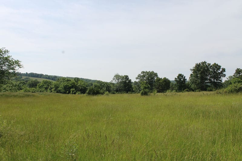 Cedar Ridge Ranch Tract 7 photo 5