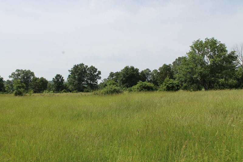 Cedar Ridge Ranch Tract 7 photo 6