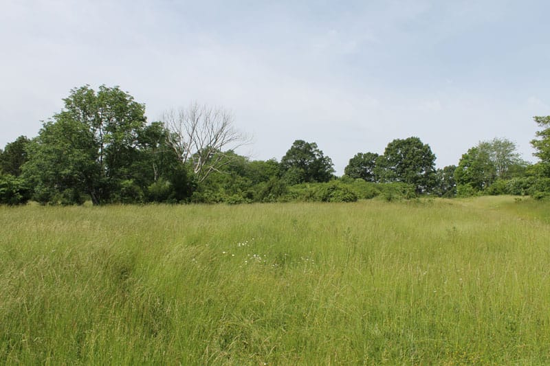 Cedar Ridge Ranch Tract 7 photo 7