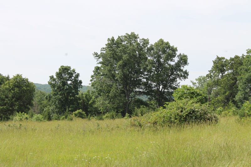 Cedar Ridge Ranch Tract 7 photo 8