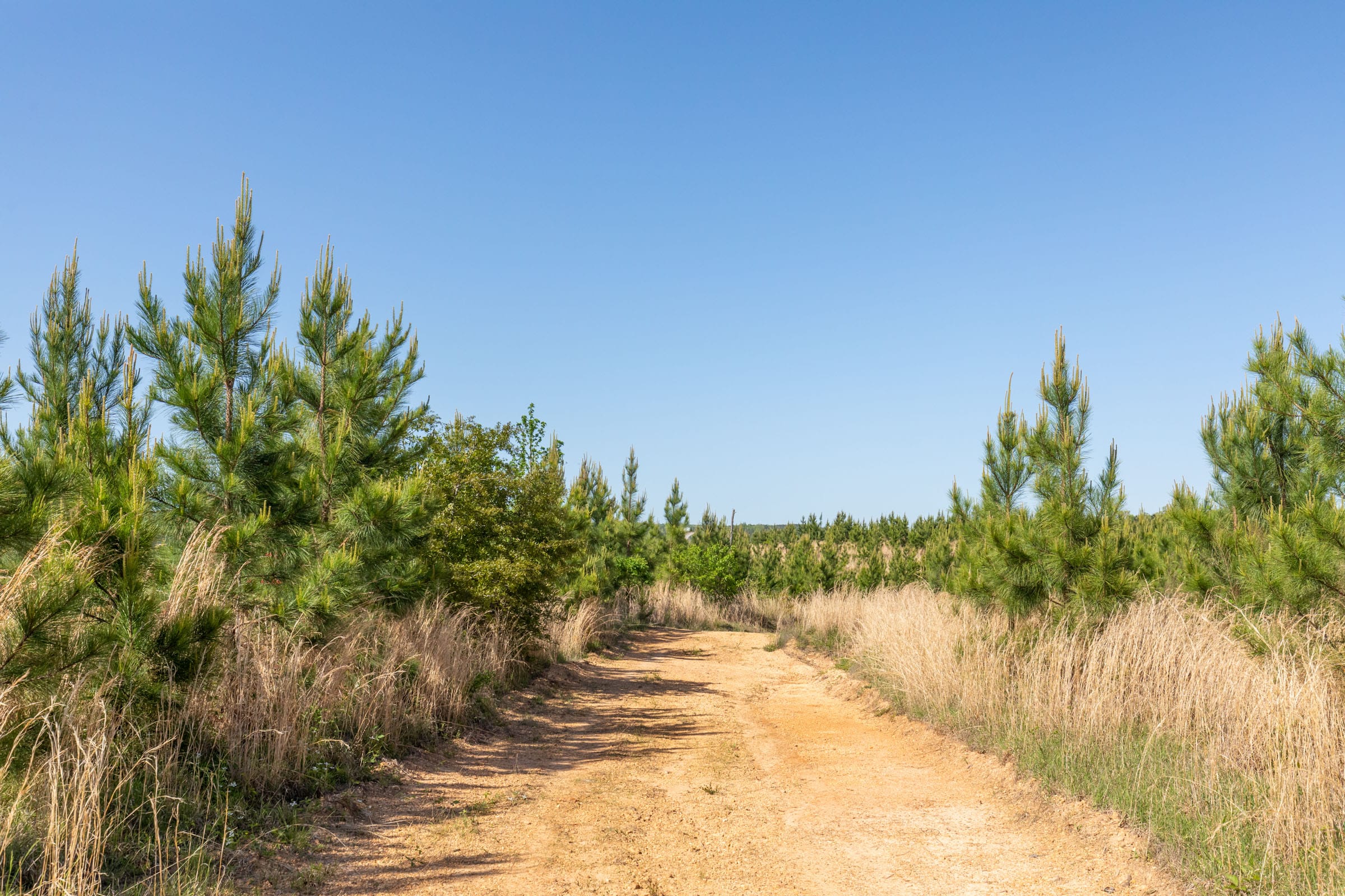 Clear Wood Tract 24 photo 1