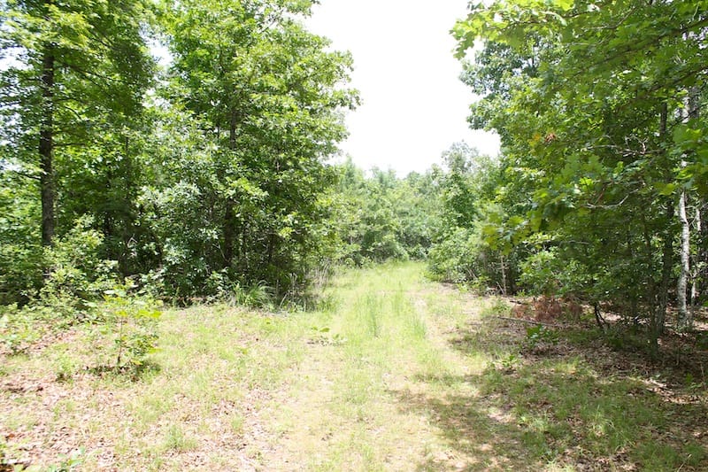 Green Mountain Ranch Tract 44 photo 1