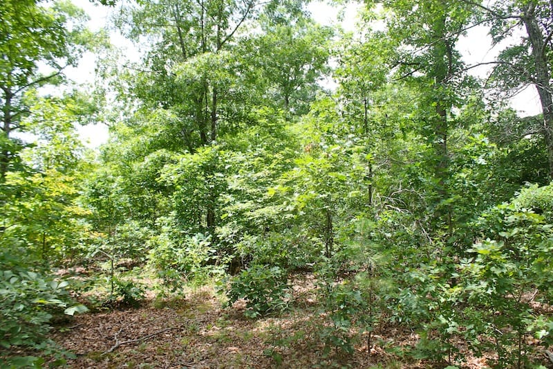 Green Mountain Ranch Tract 44 photo 3