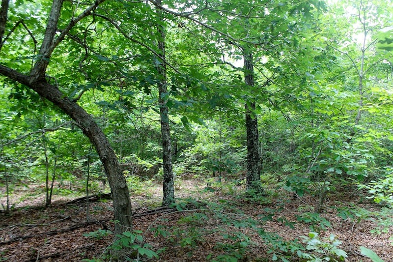Green Mountain Ranch Tract 44 photo 7