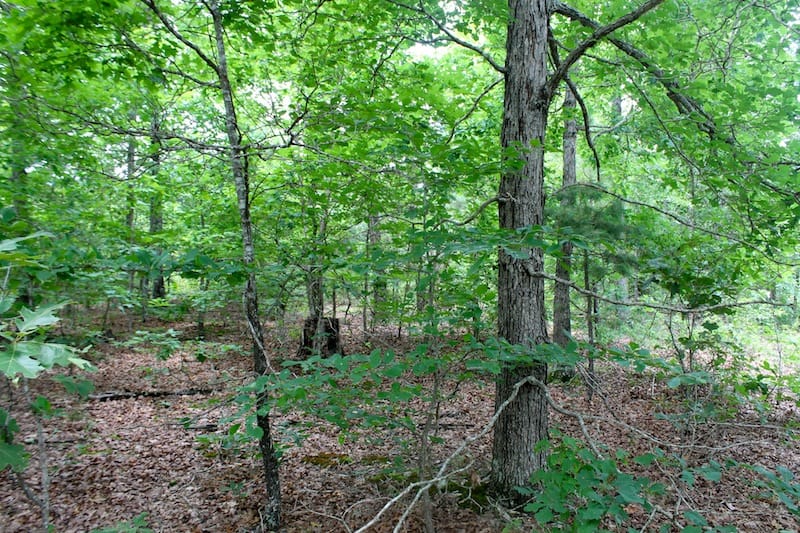 Green Mountain Ranch Tract 44 photo 8