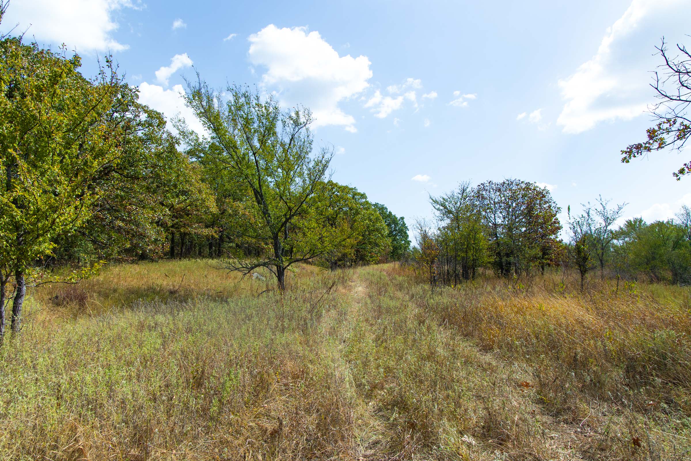 Gracyn Meadows Tract 20 photo 9
