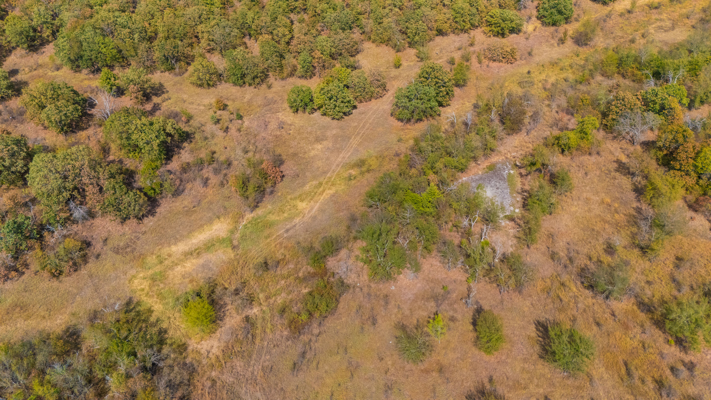 Gracyn Meadows Tract 20 photo 11