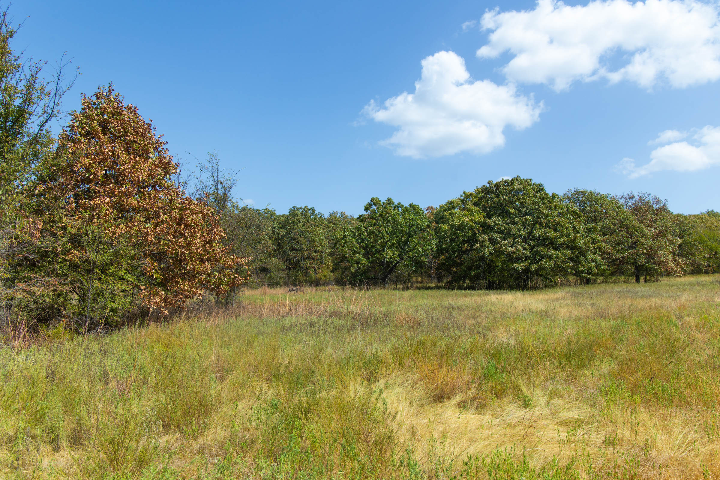 Gracyn Meadows Tract 20 photo 16