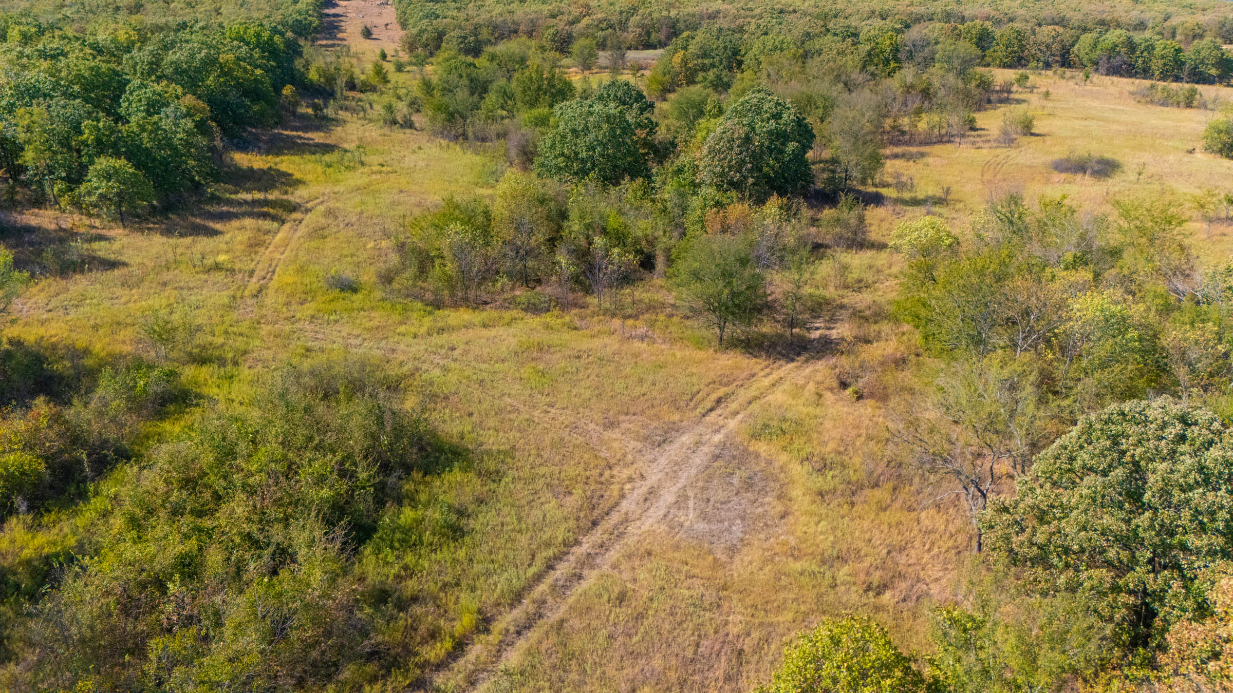 Gracyn Meadows Tract 20 photo 12