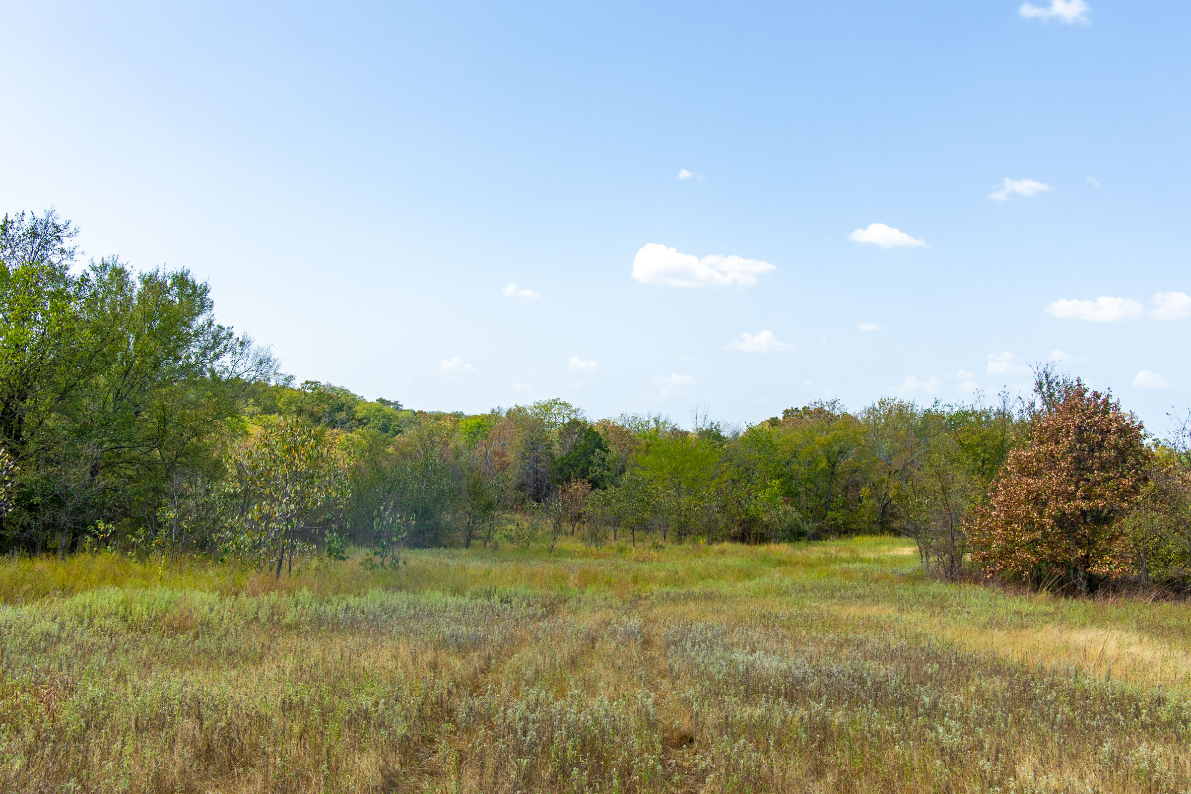 Gracyn Meadows Tract 20 photo 18