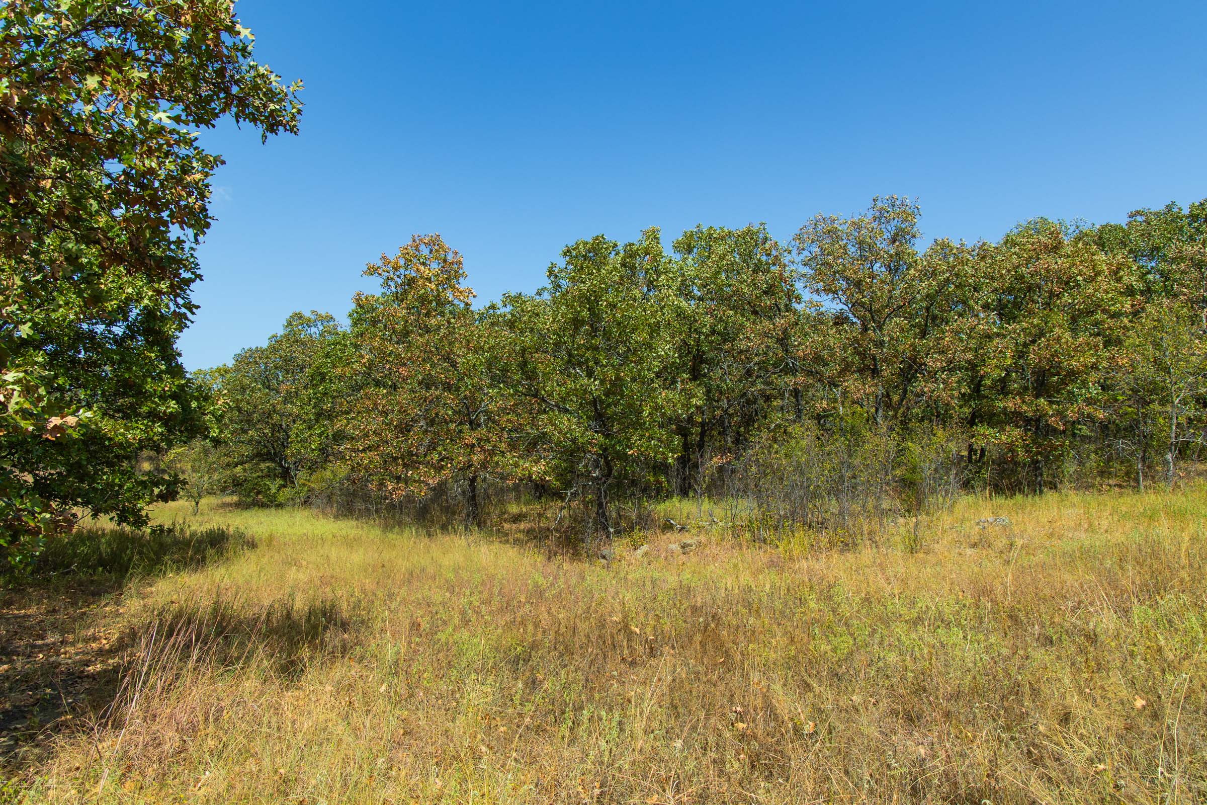 Gracyn Meadows Tract 20 photo 1