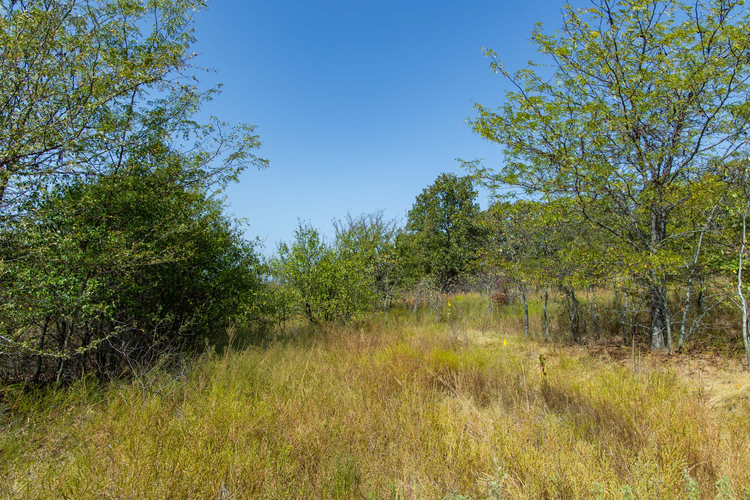 Gracyn Meadows Tract 20 photo 4