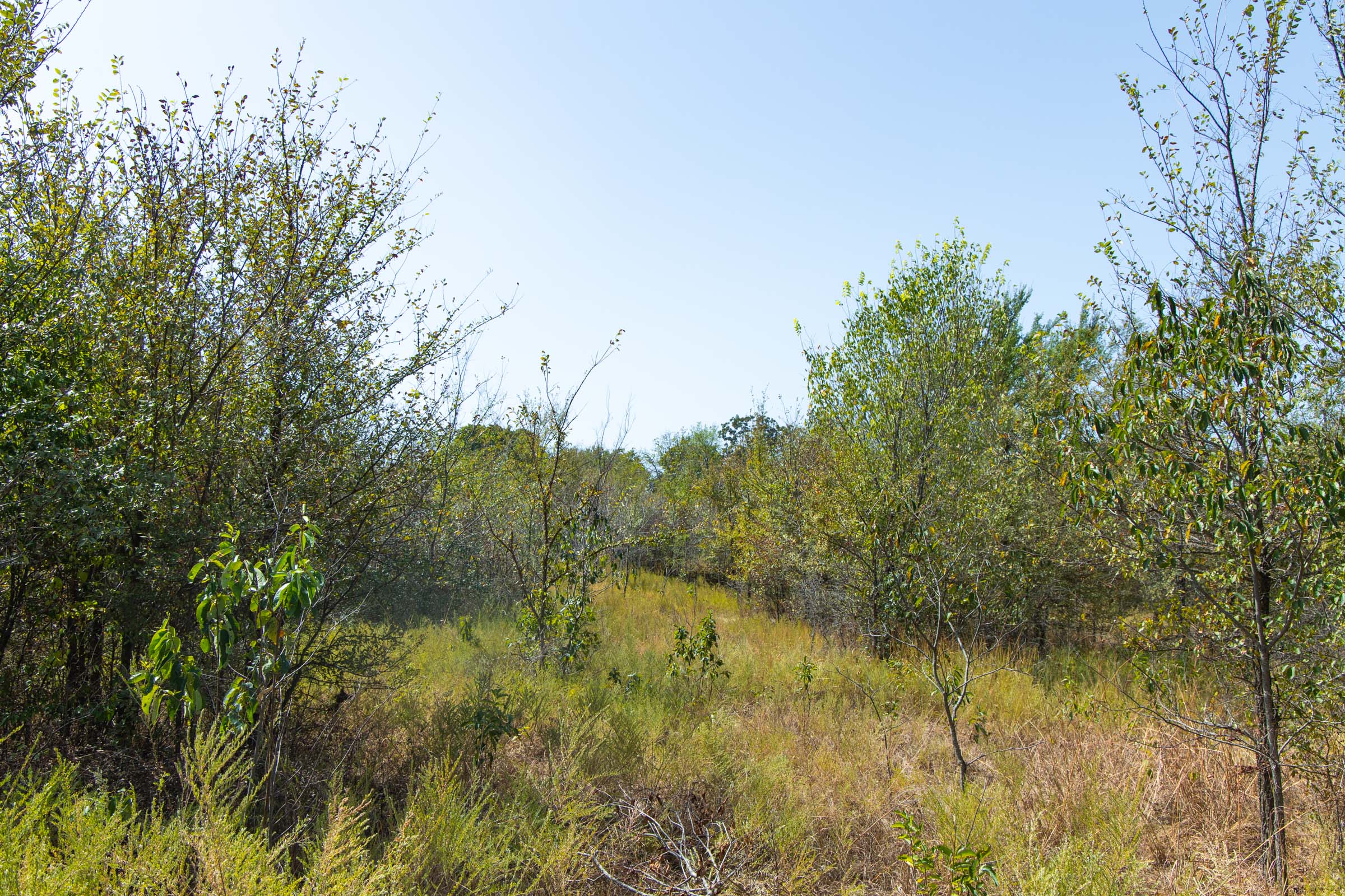 Gracyn Meadows Tract 20 photo 15