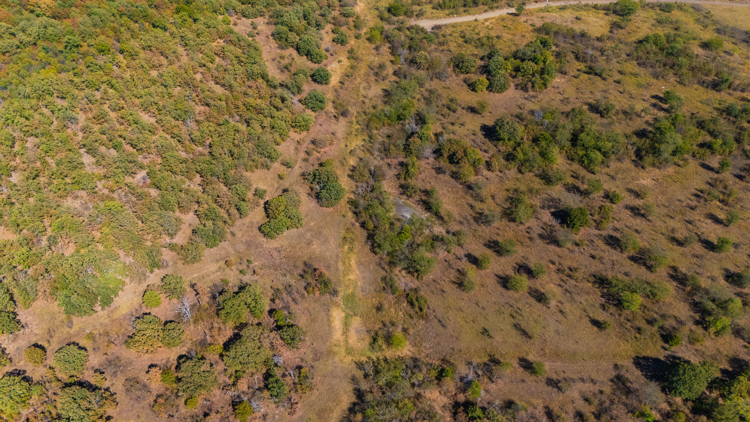 Gracyn Meadows Tract 20 photo 6