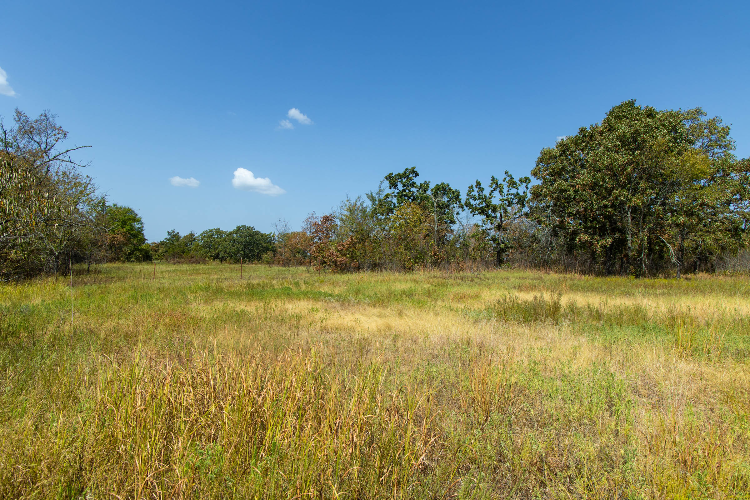 Gracyn Meadows Tract 20 photo 19