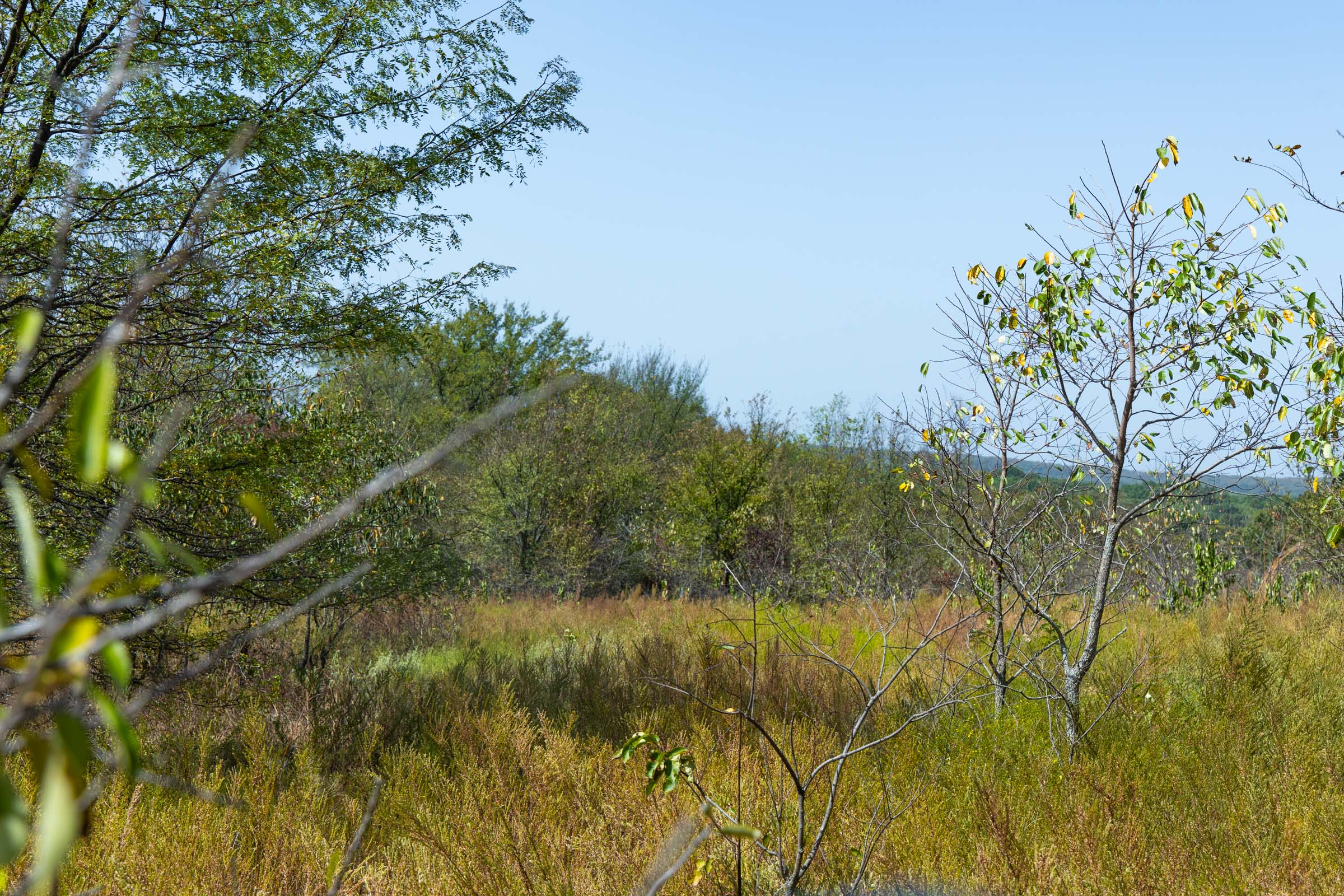 Gracyn Meadows Tract 20 photo 20