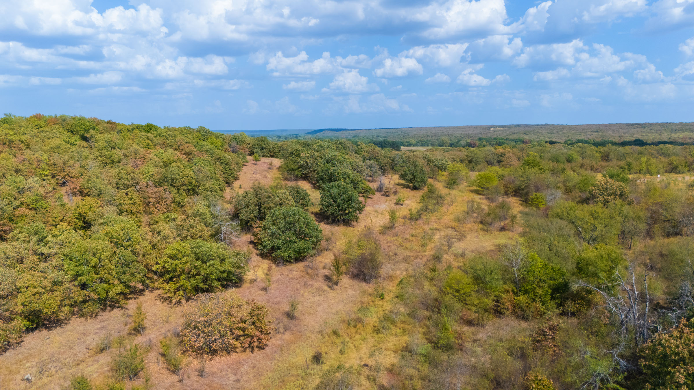 Gracyn Meadows Tract 20 photo 5