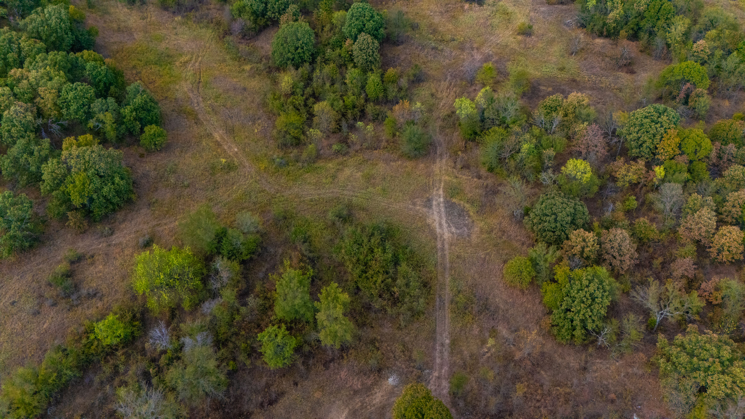 Gracyn Meadows Tract 20 photo 17