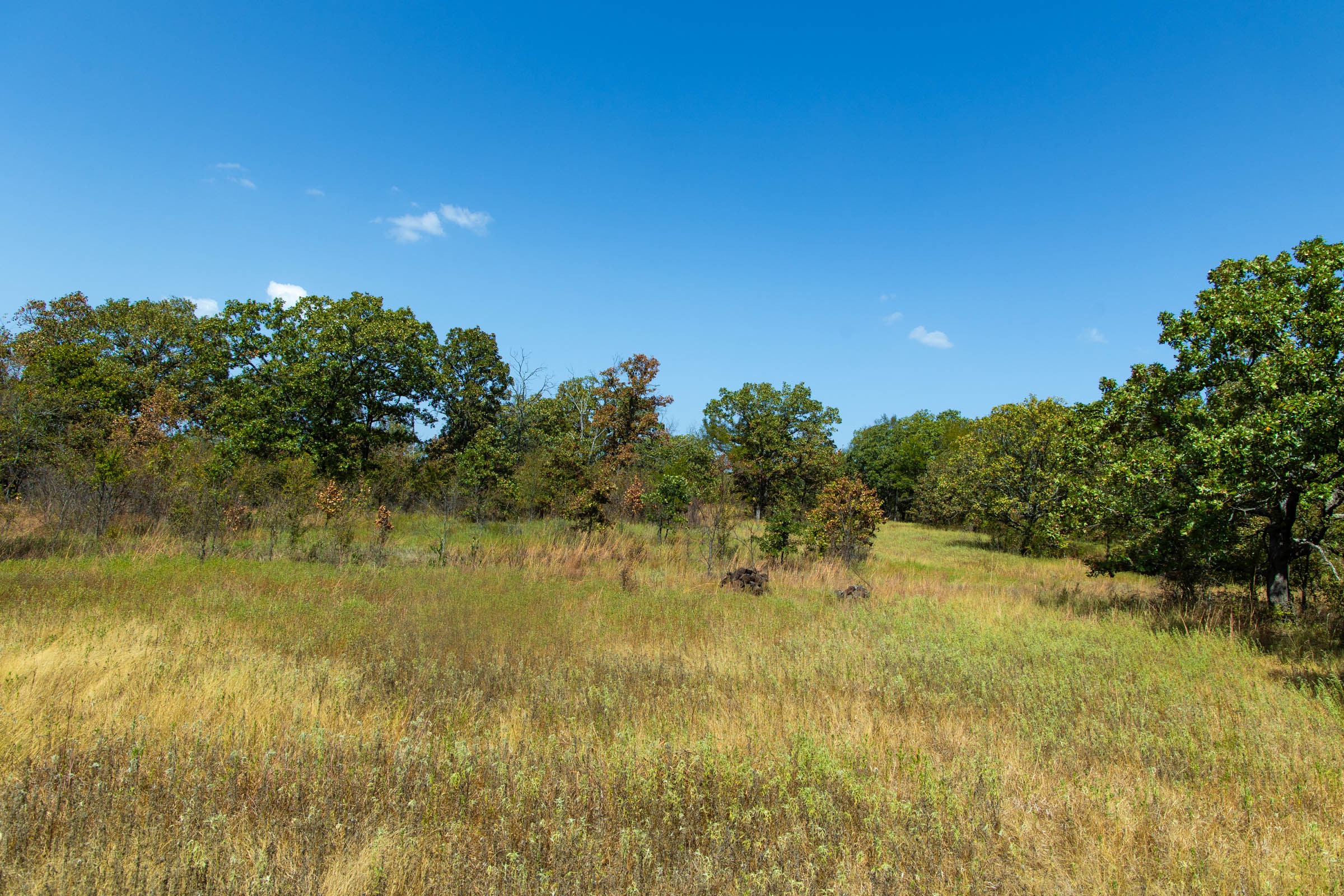 Gracyn Meadows Tract 20 photo 3