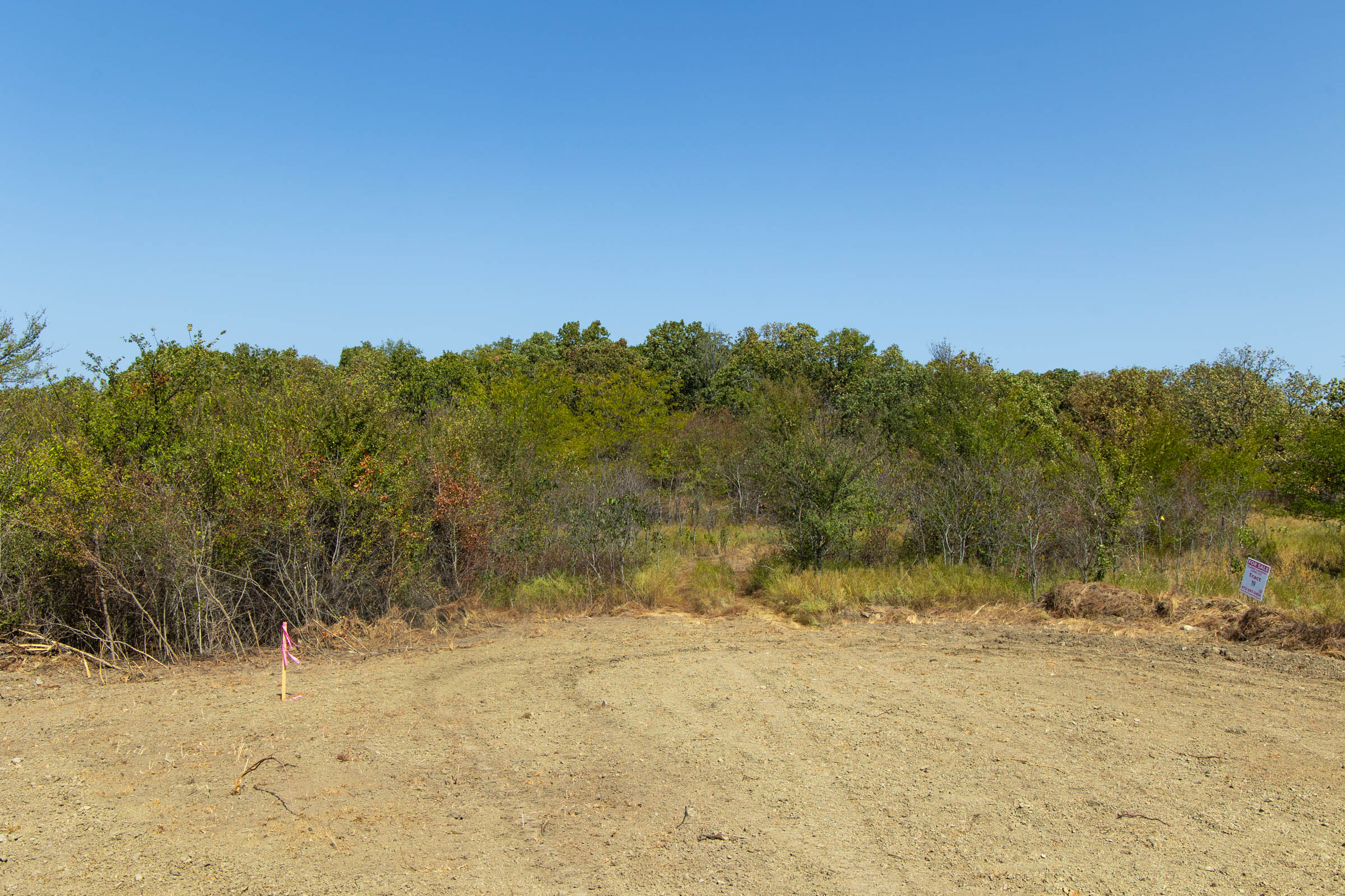 Gracyn Meadows Tract 20 photo 10
