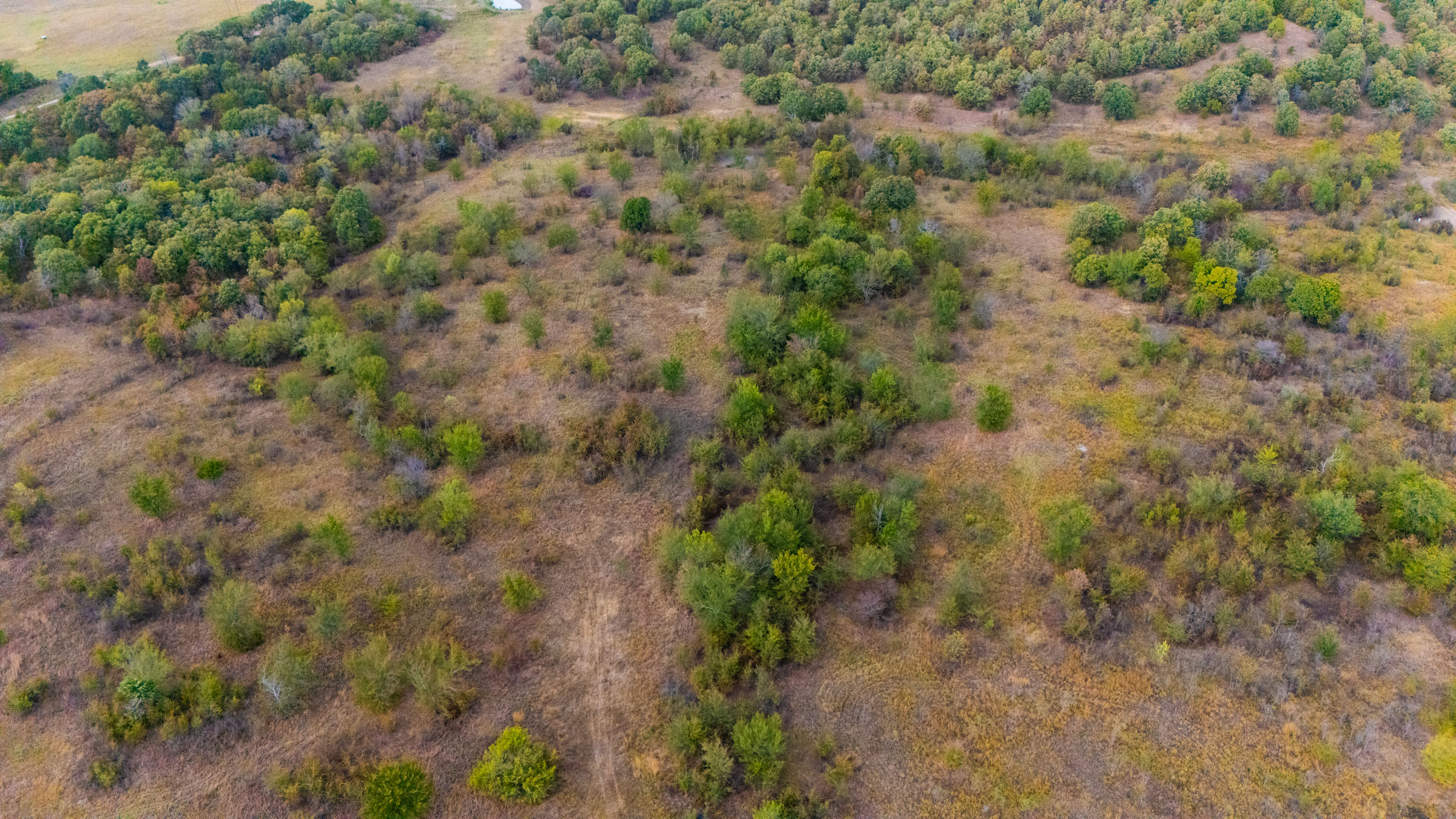 Gracyn Meadows Tract 20 photo 2