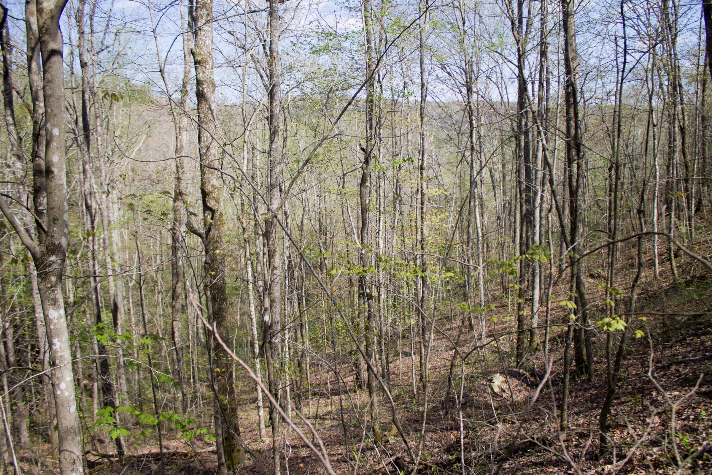 Hidden Hills Tract 17 photo 3