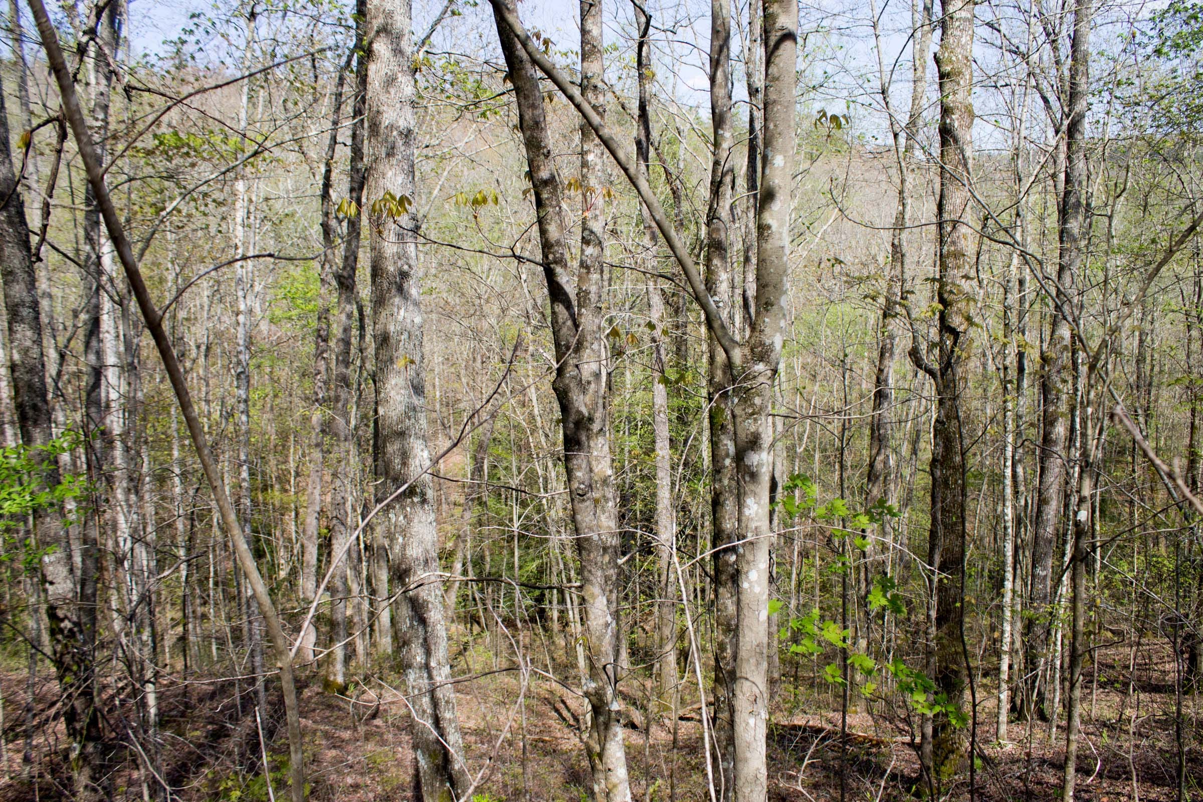 Hidden Hills Tract 17 photo 4