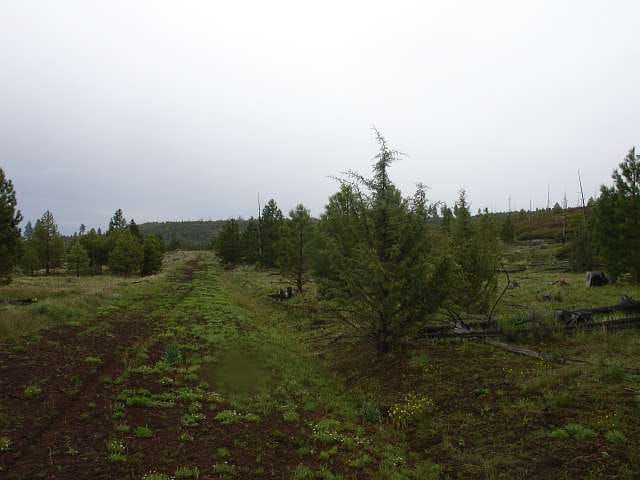 California Pines Tract 16 photo 1