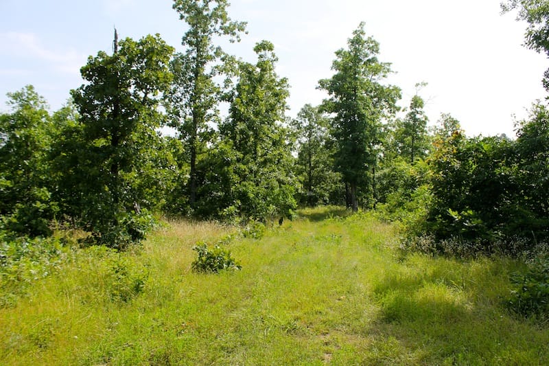 Green Mountain Ranch Tract 17 photo 4