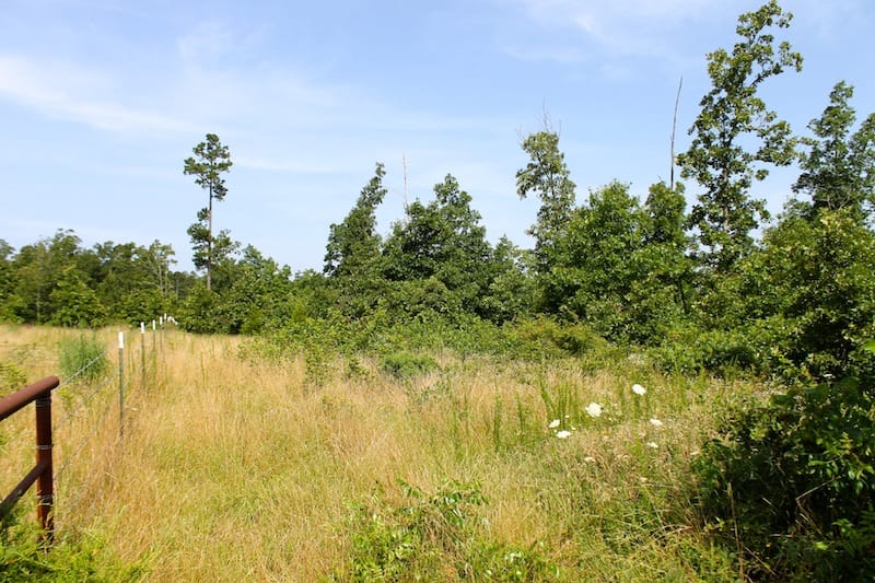 Green Mountain Ranch Tract 17 photo 5