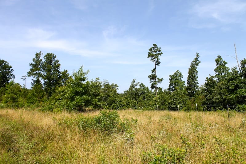 Green Mountain Ranch Tract 17 photo 7