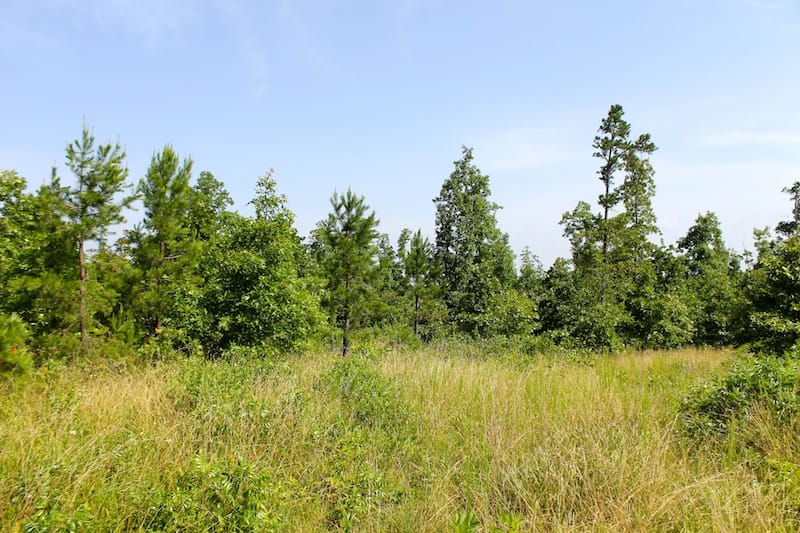Green Mountain Ranch Tract 17 photo 8