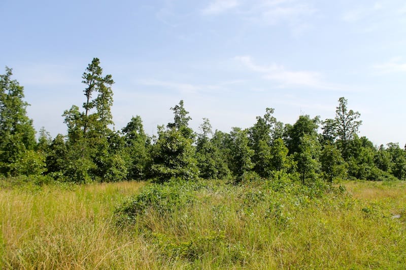 Green Mountain Ranch Tract 17 photo 9