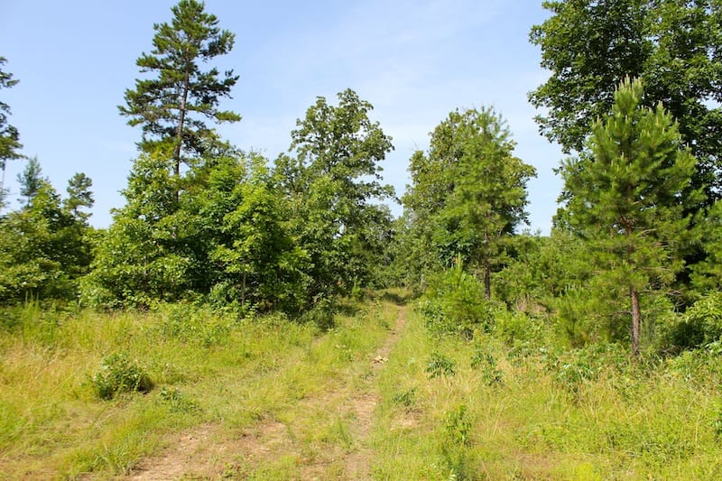 Green Mountain Ranch Tract 17 photo 1