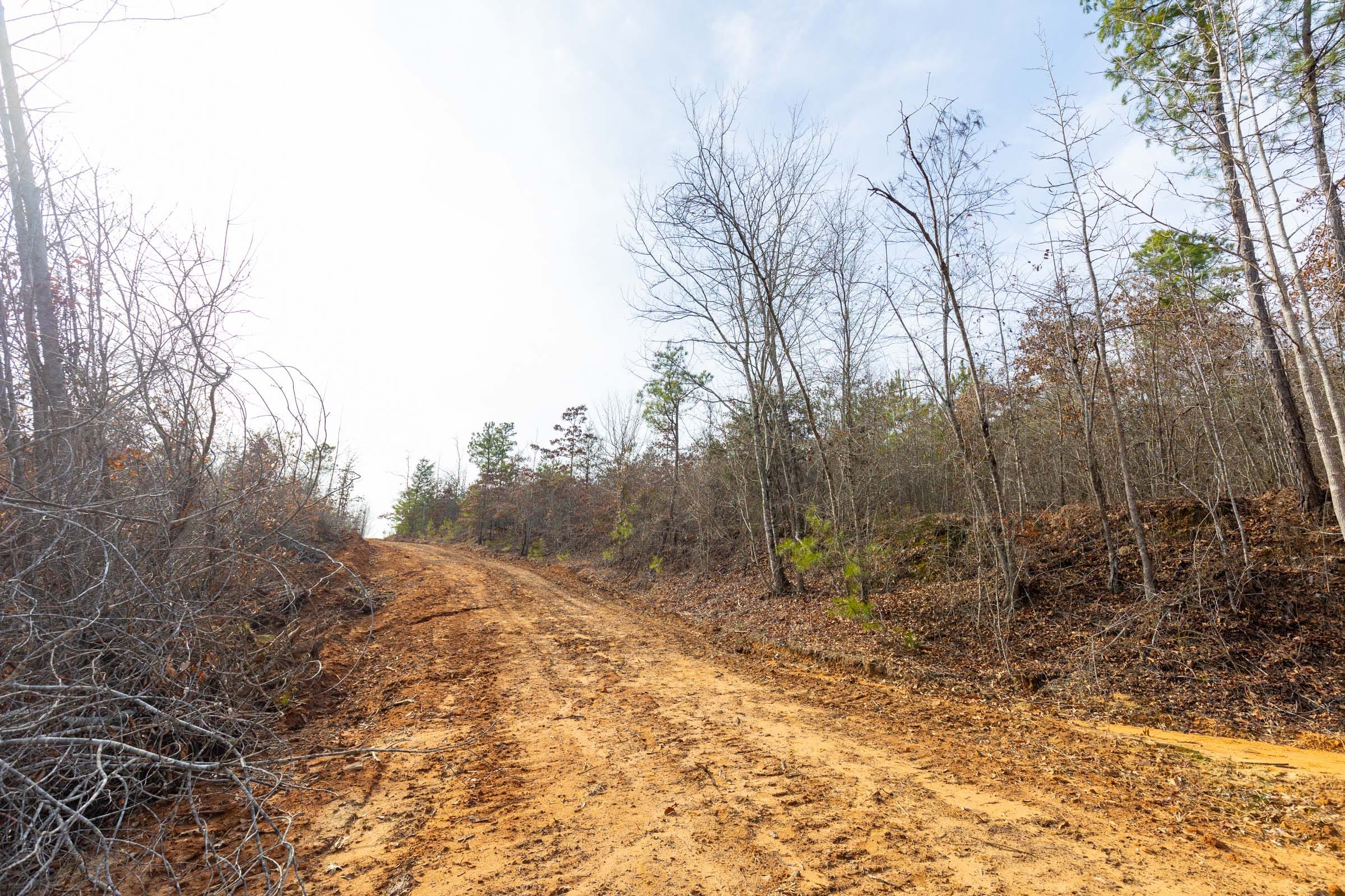 Baker Creek Tract 7 photo 6