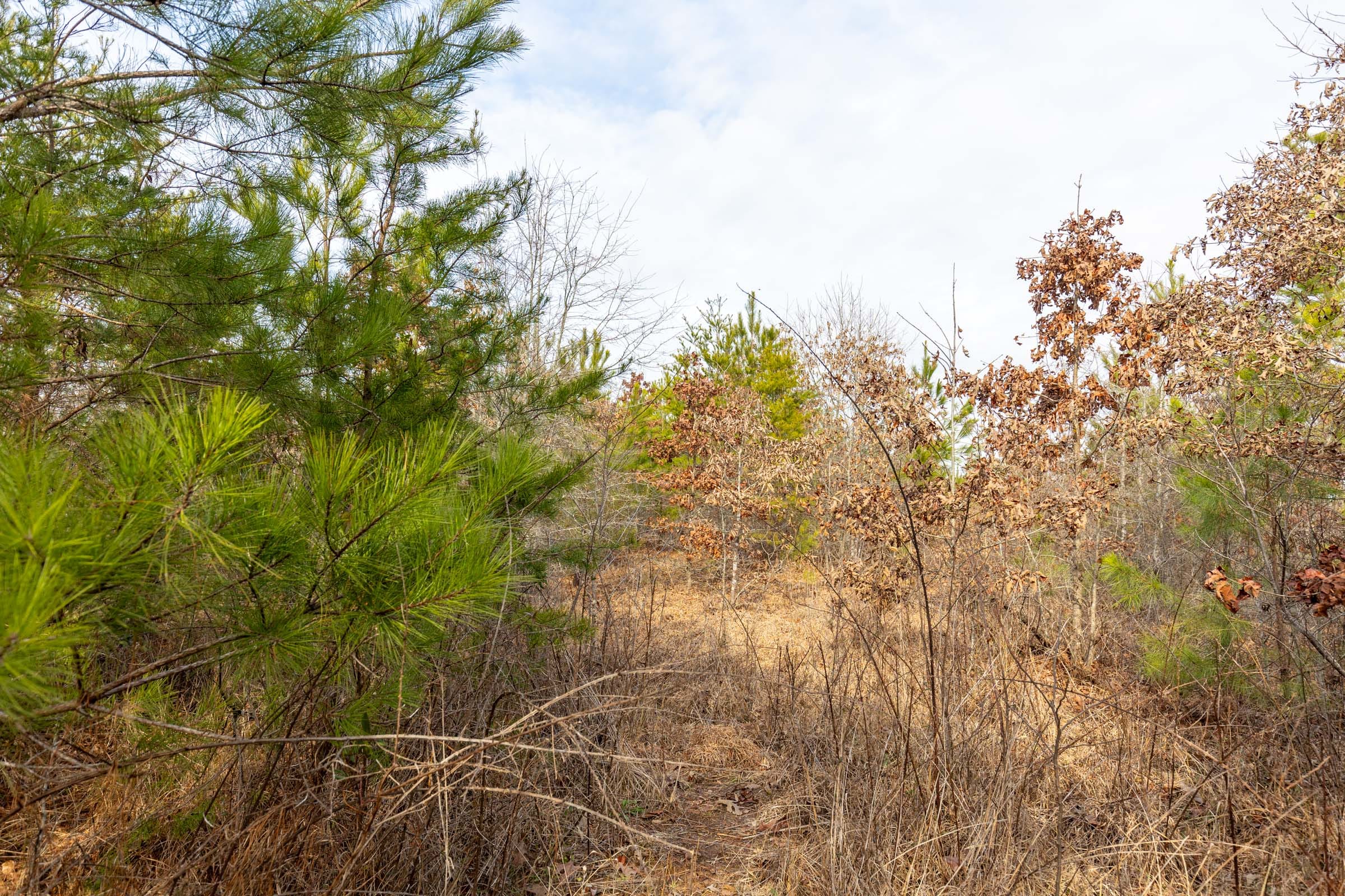 Baker Creek Tract 7 photo 4