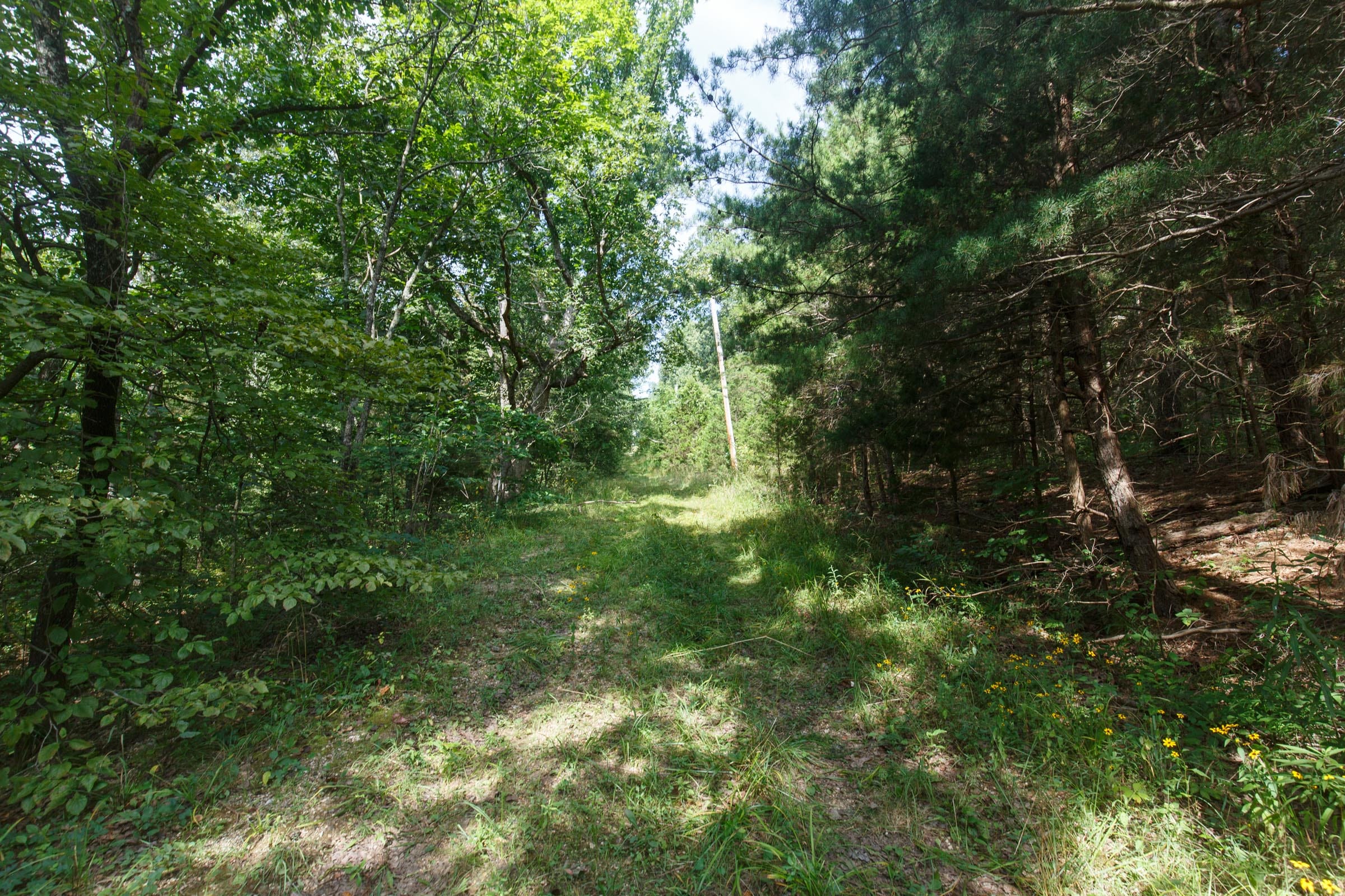Spring Lake Plat 6 Tract 149 photo 2