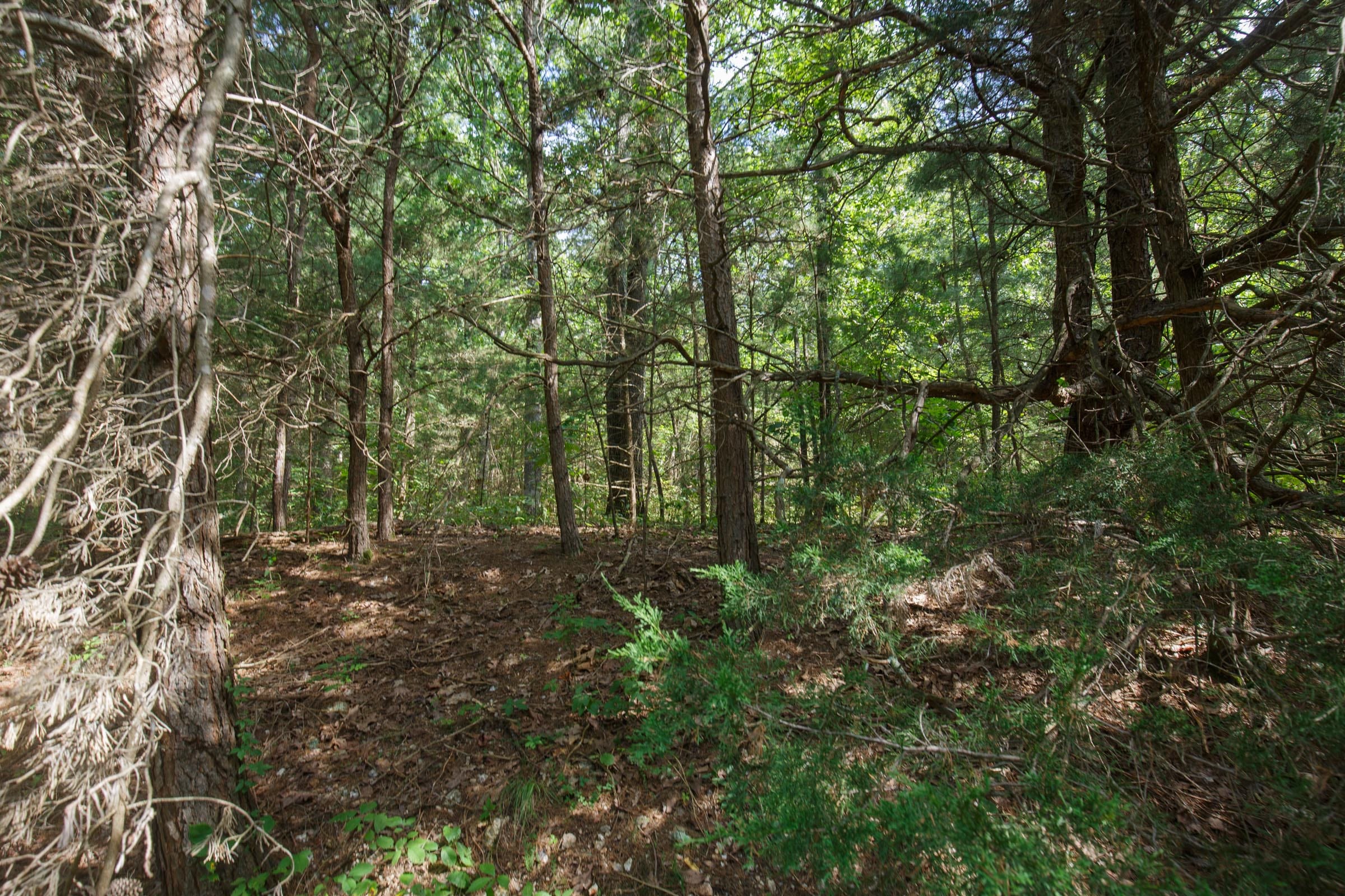 Spring Lake Plat 6 Tract 149 photo 3