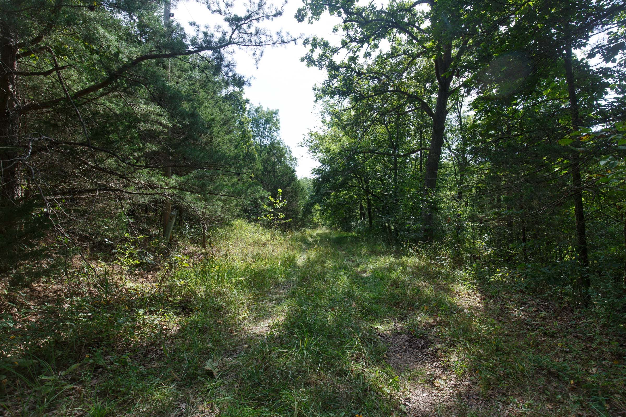 Spring Lake Plat 6 Tract 149 photo 4