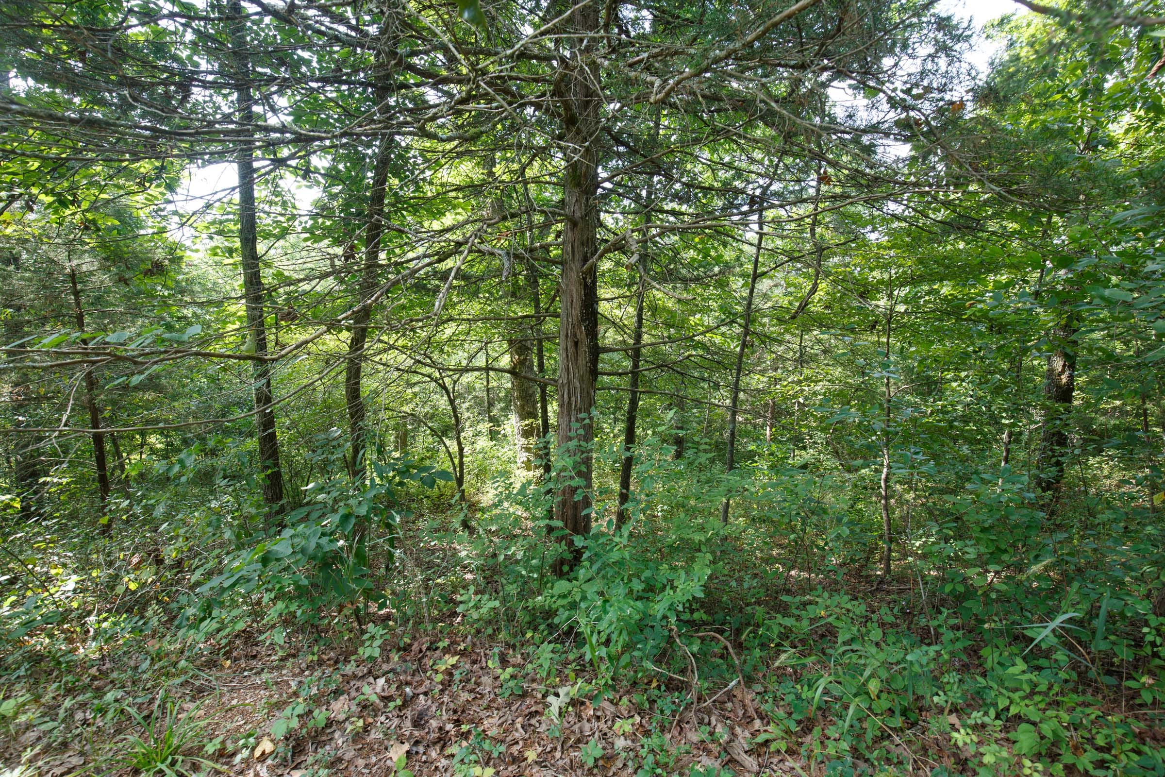 Spring Lake Plat 6 Tract 149 photo 5