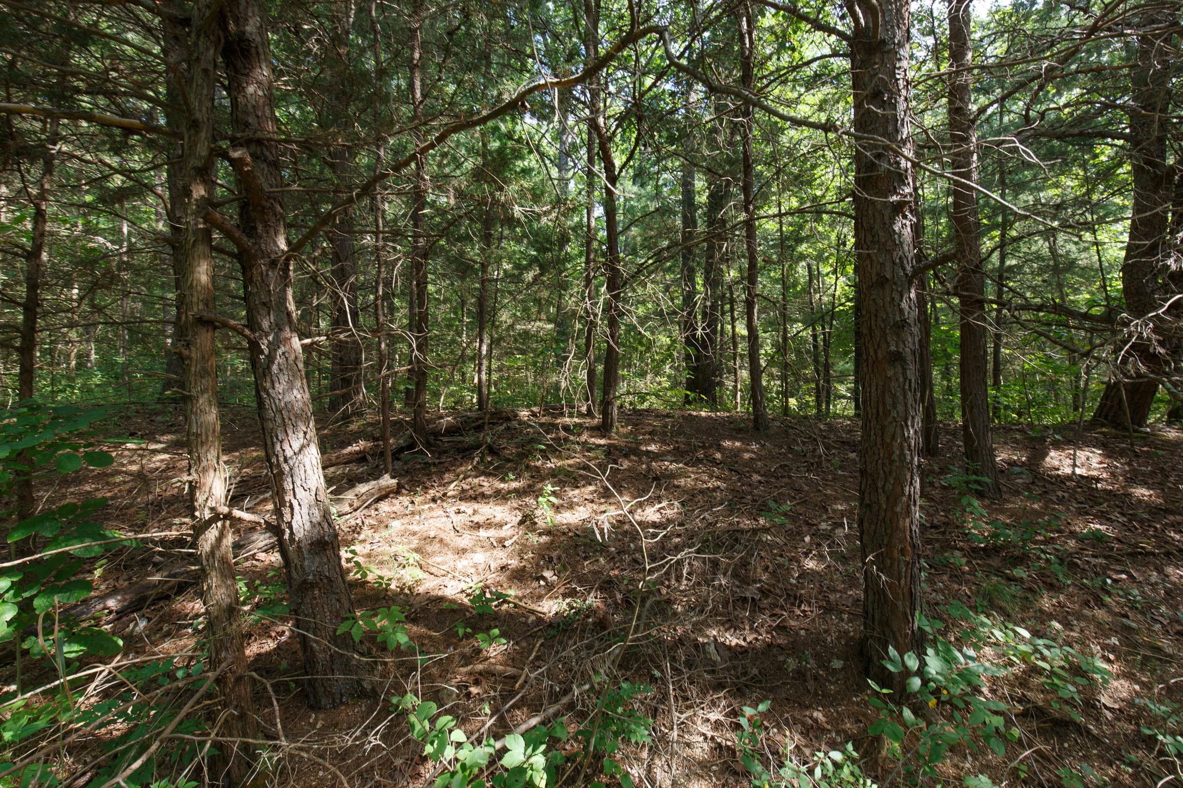 Spring Lake Plat 6 Tract 149 photo 6