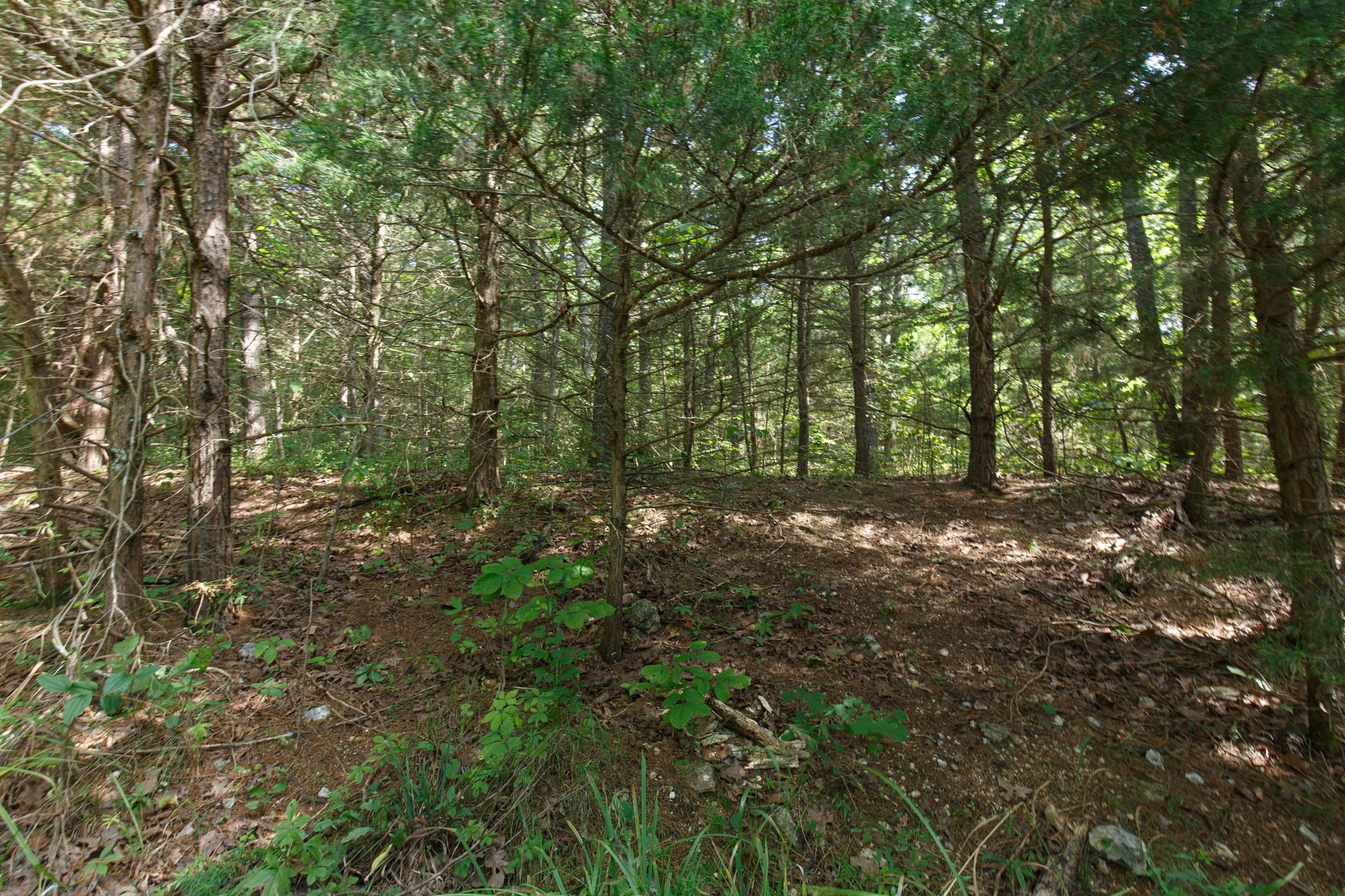 Spring Lake Plat 6 Tract 149 photo 7