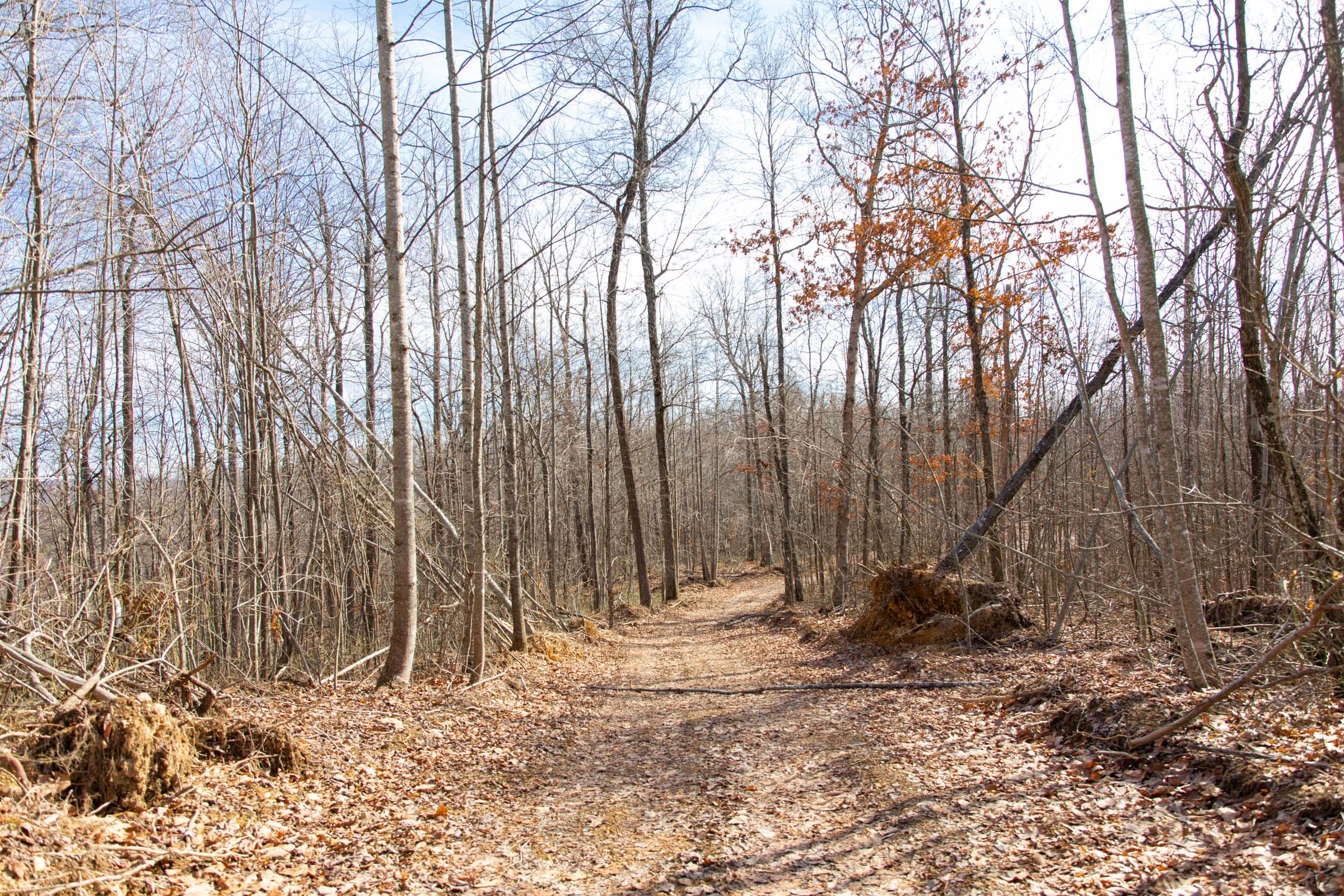 Blackstone Mountain Phase I Tract 31 photo 1
