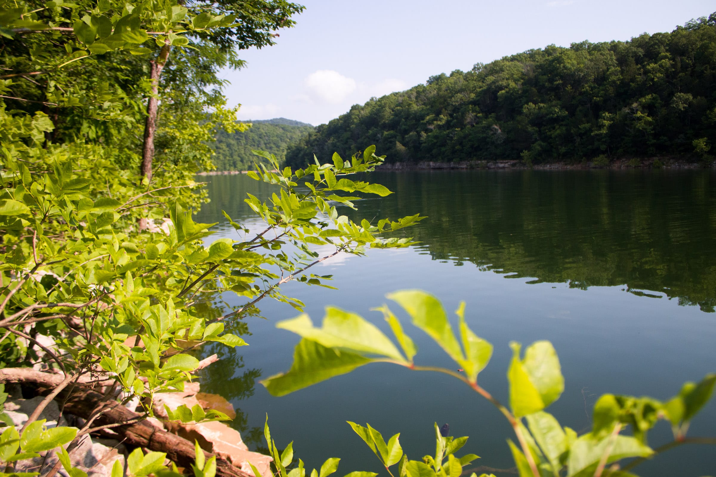Bluewater Ridge Tract 30 photo 8