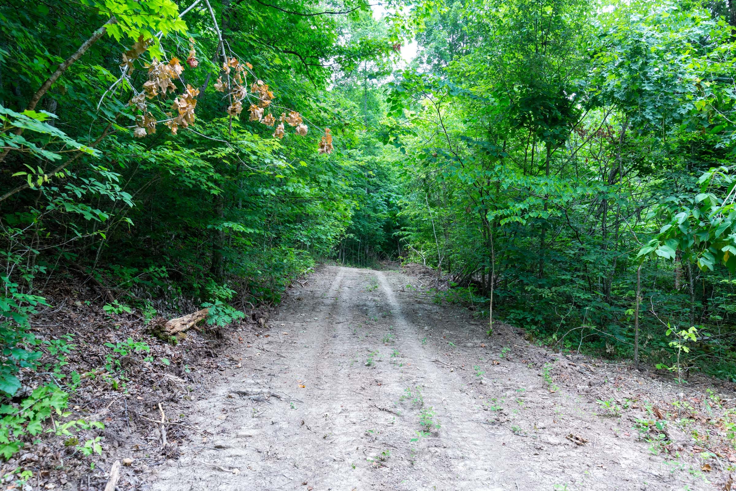 Tucker Hollow Tract 12 photo 2