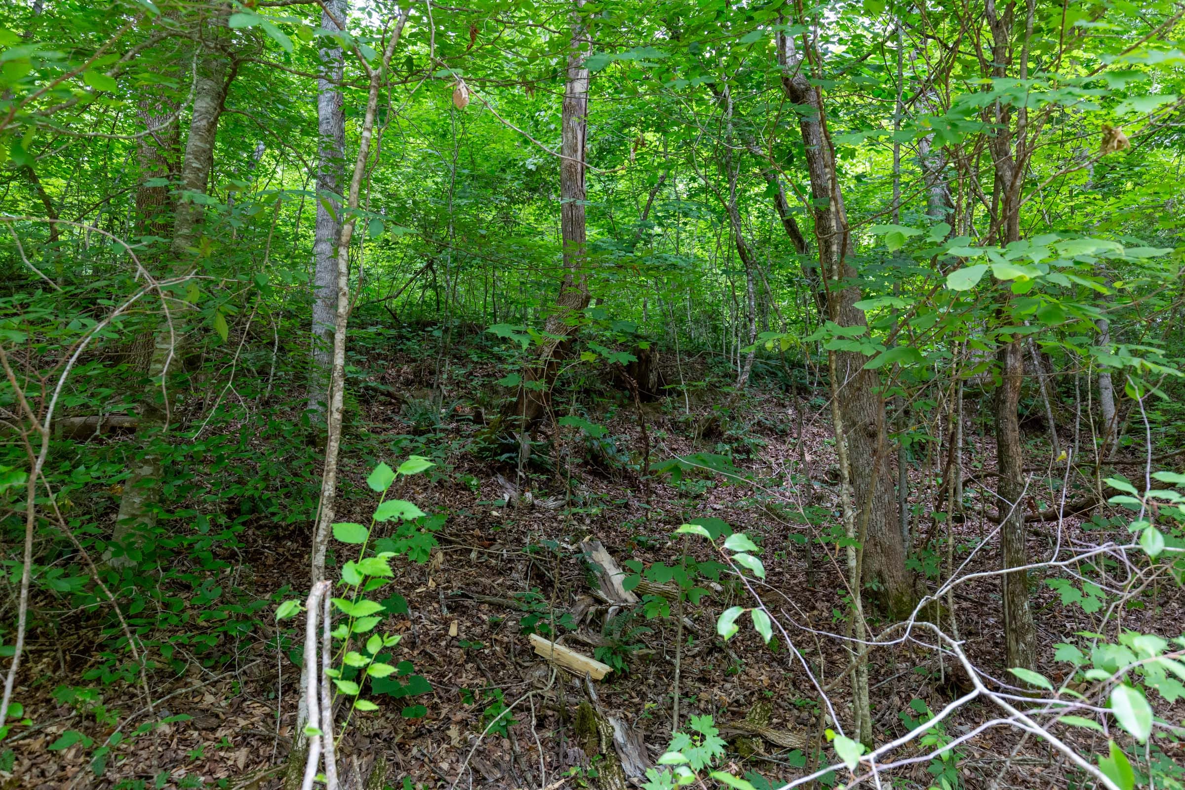 Tucker Hollow Tract 12 photo 6
