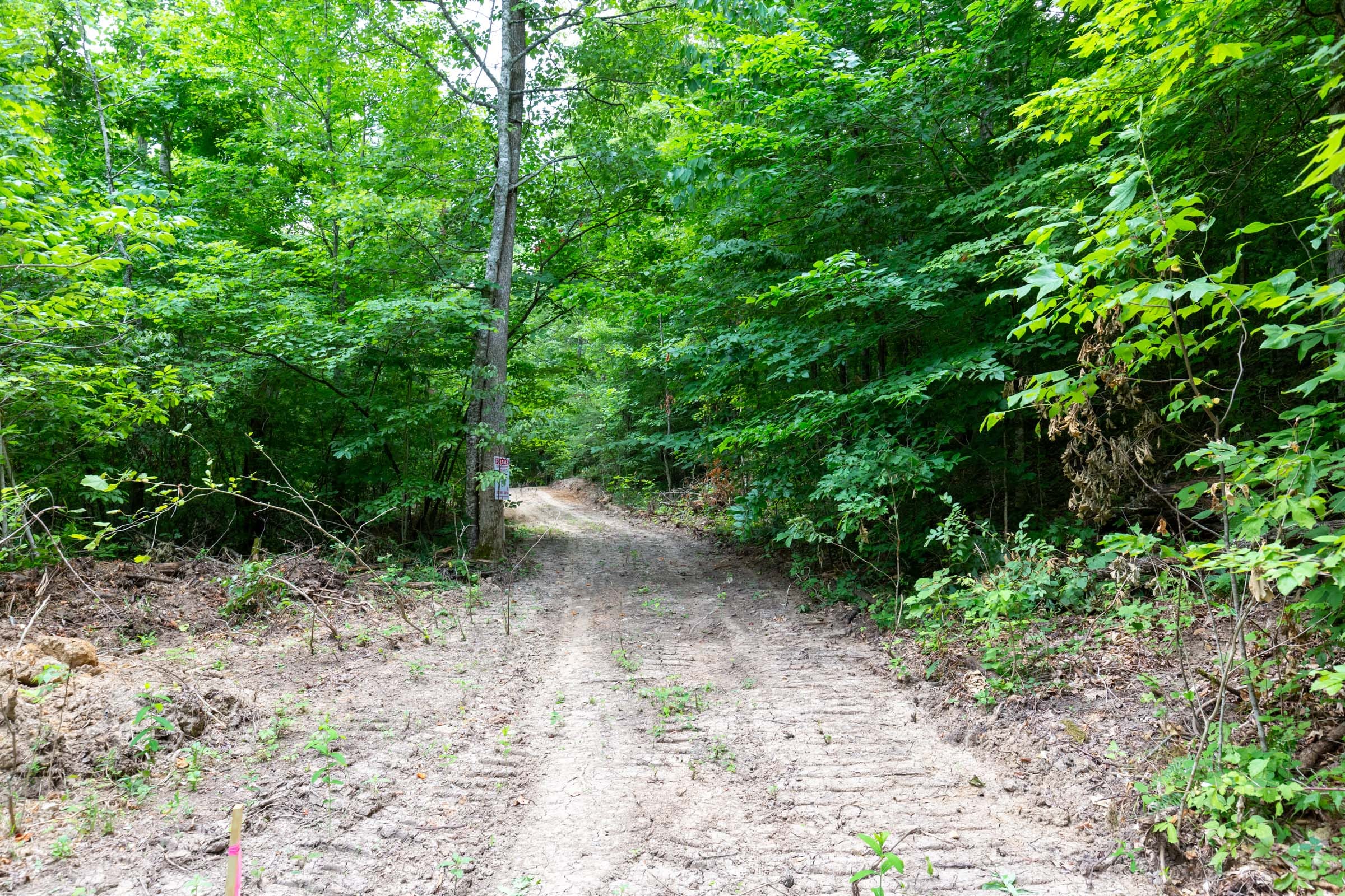 Tucker Hollow Tract 12 photo 8