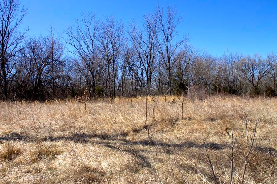 Cowboy Meadows Tract 14 photo 1